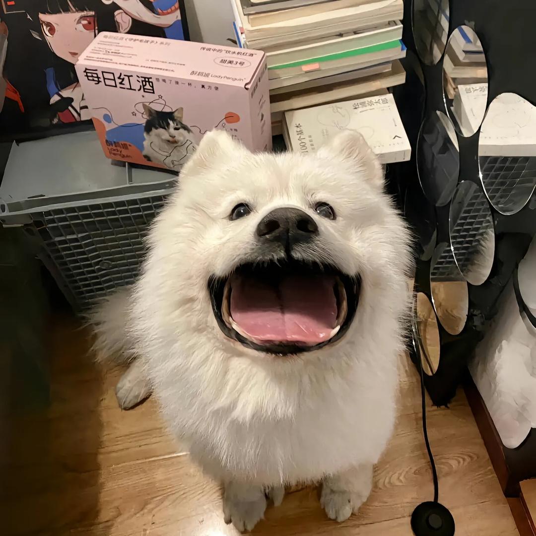 毒也独ྀི（大一版）