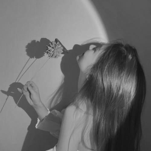 毒刺玫瑰🌹