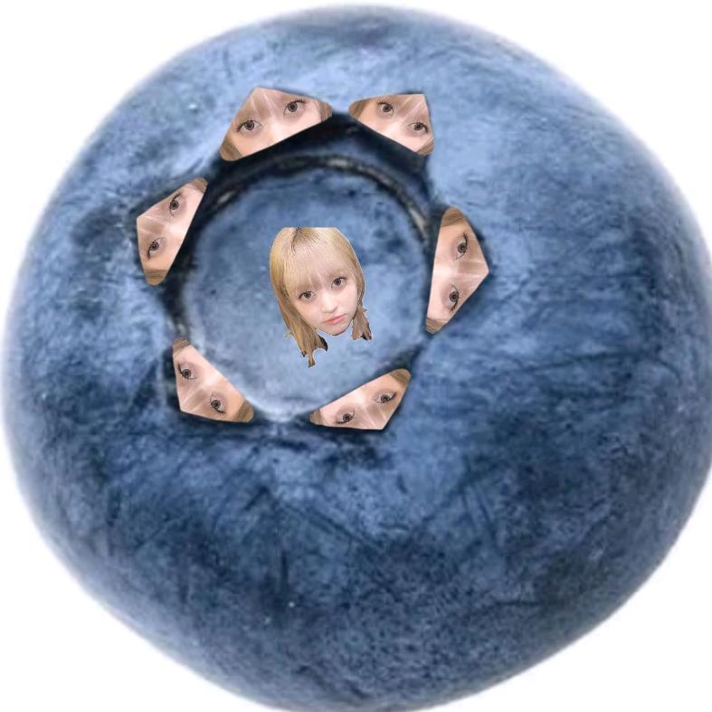 我想吃海嫄凤莉（见过gem版）