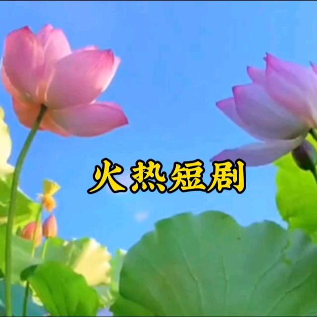 老韩影视