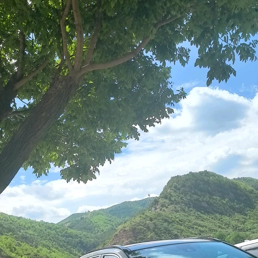 波鑫大舞台