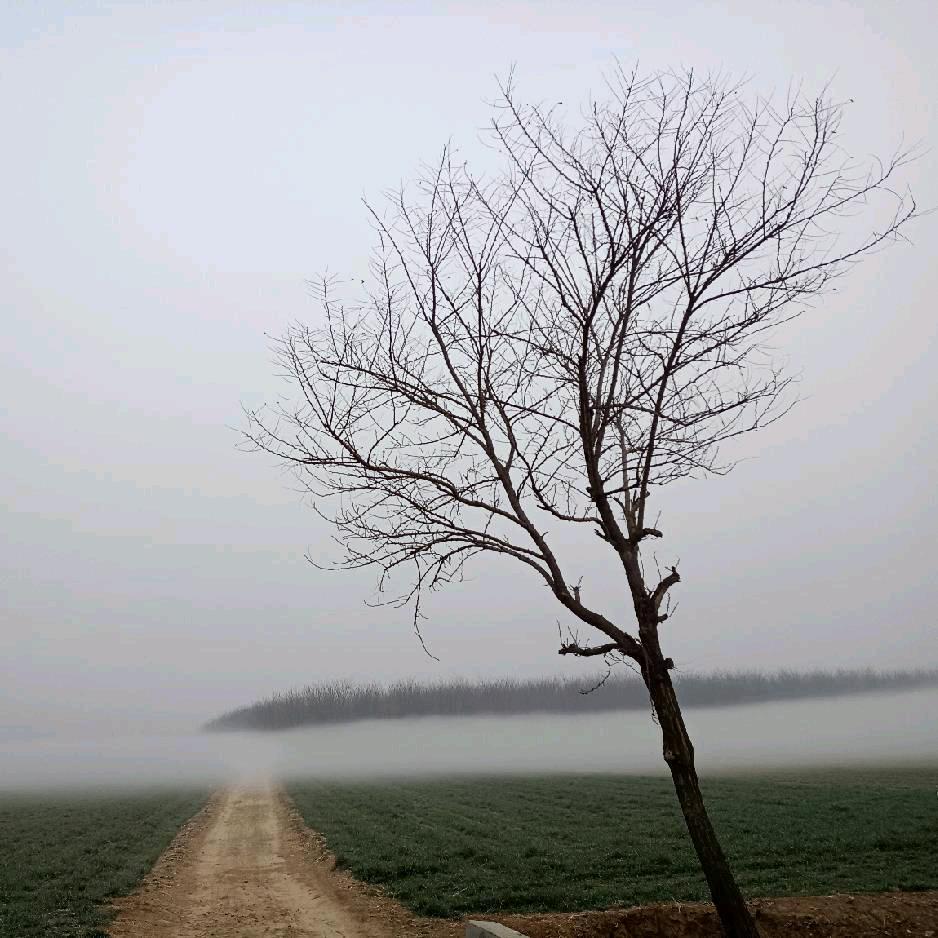 烟花易冷（一关一回）