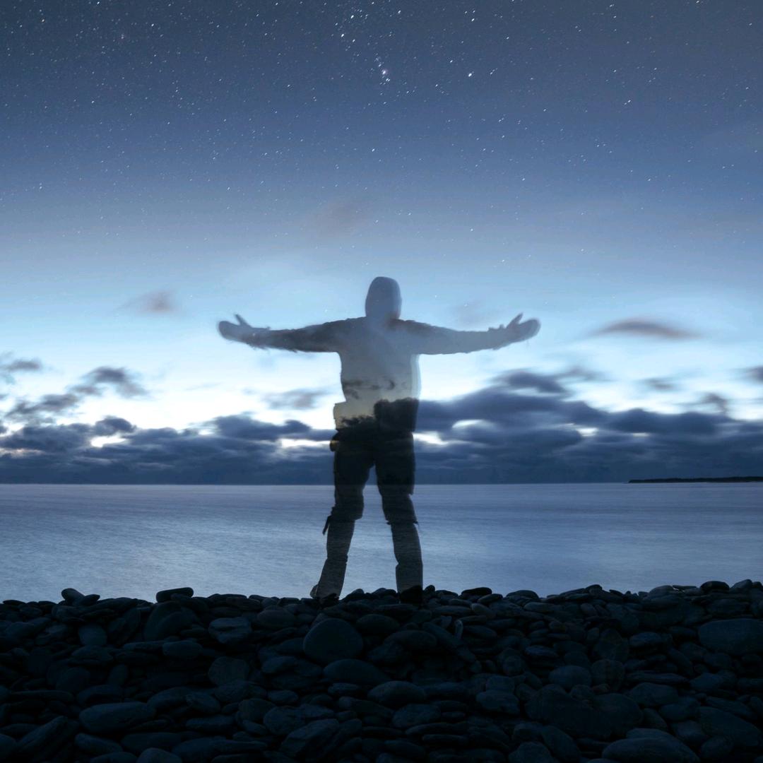 高档海鲜批发零售