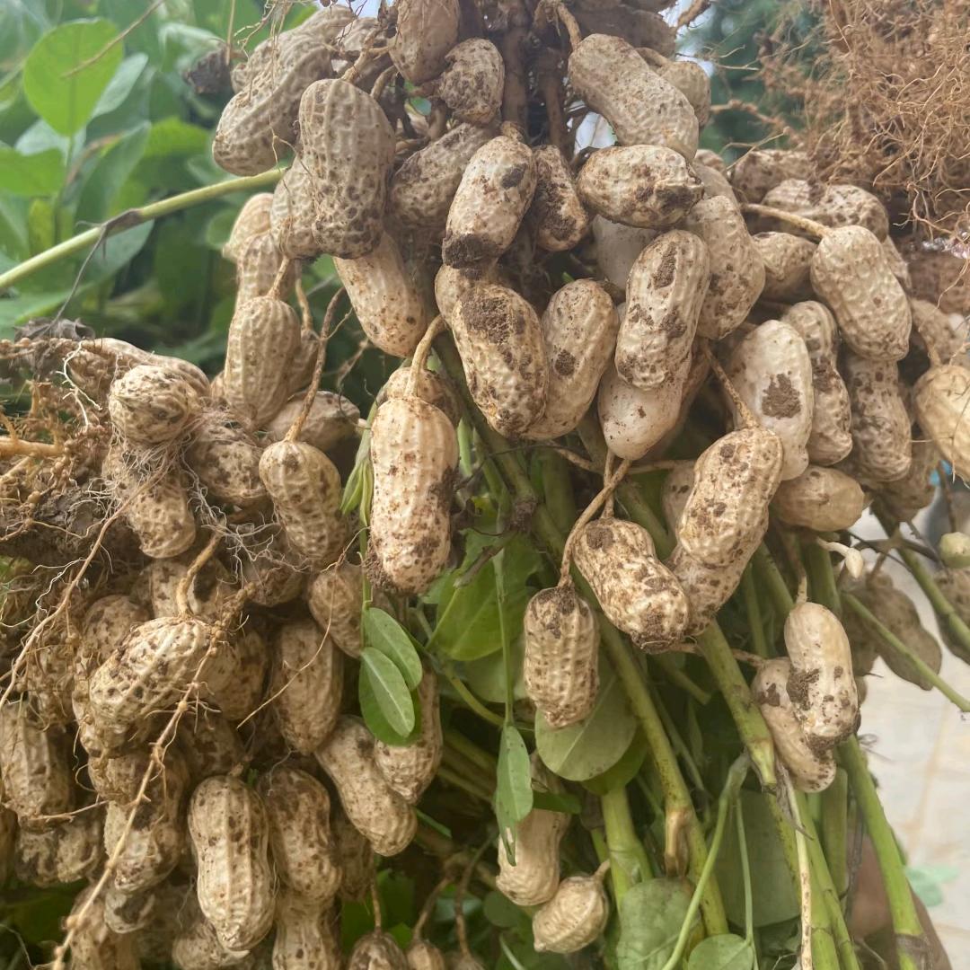 乐好物甄选