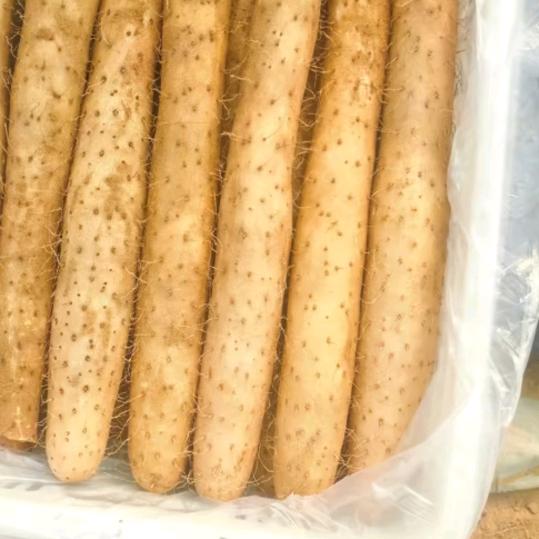 奋斗明天