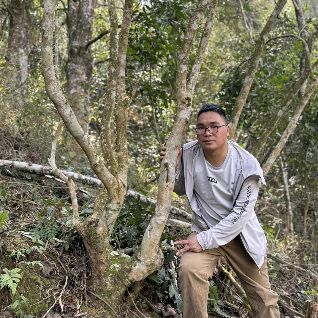 底圩制茶人～锦三波