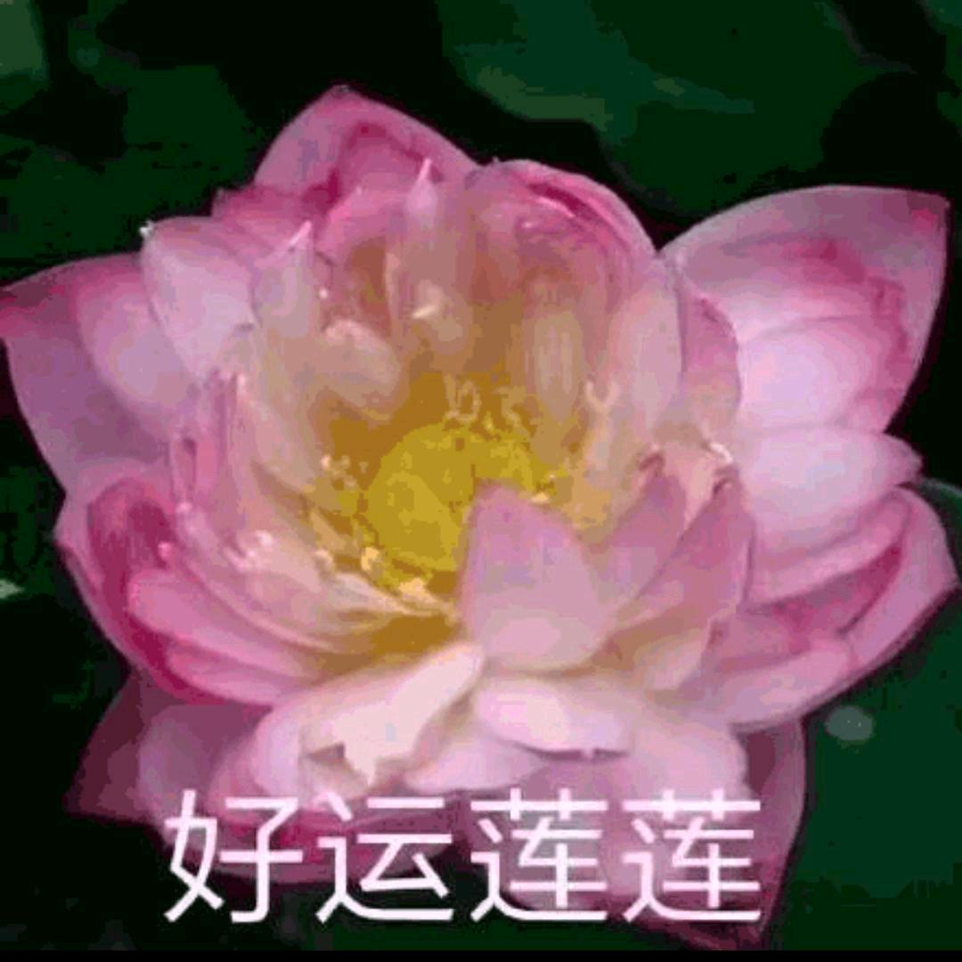 一生福运相伴568《拒绝连赞》