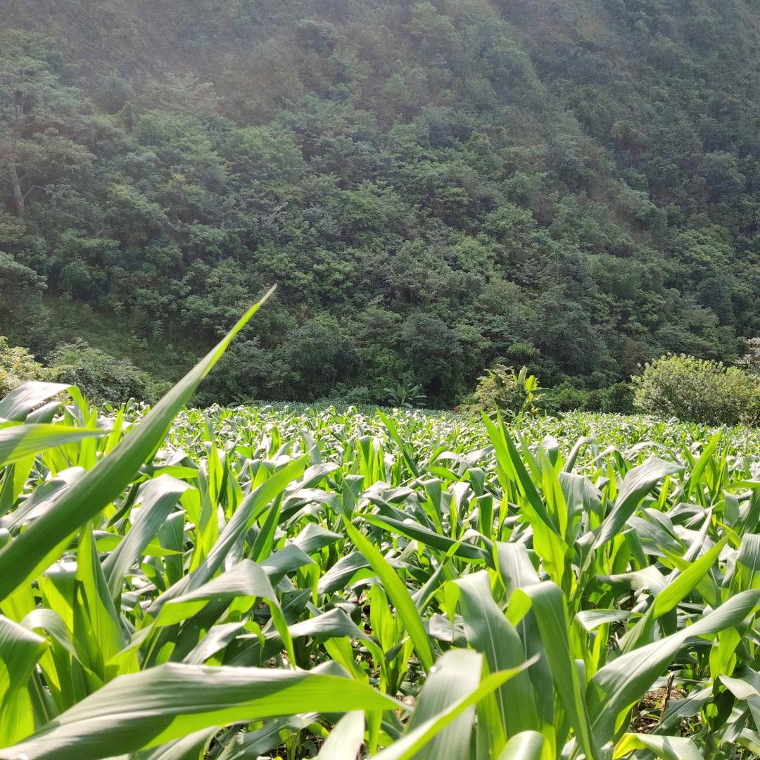 风里雨里的彩虹
