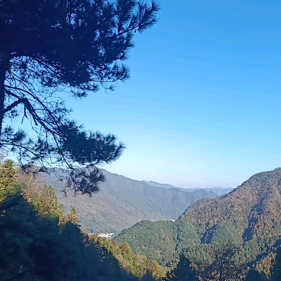 硒隐山居+年轻的80后