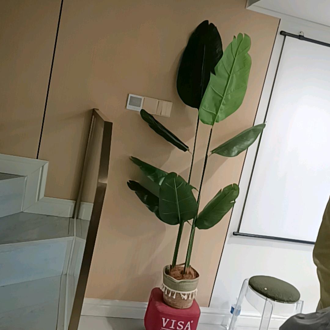 @AA李总