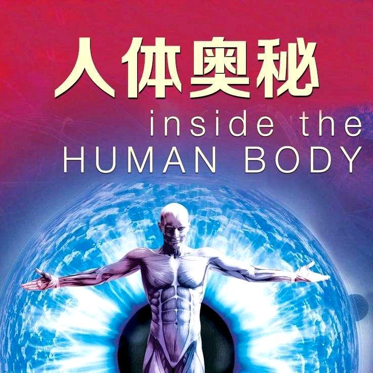 国，爱