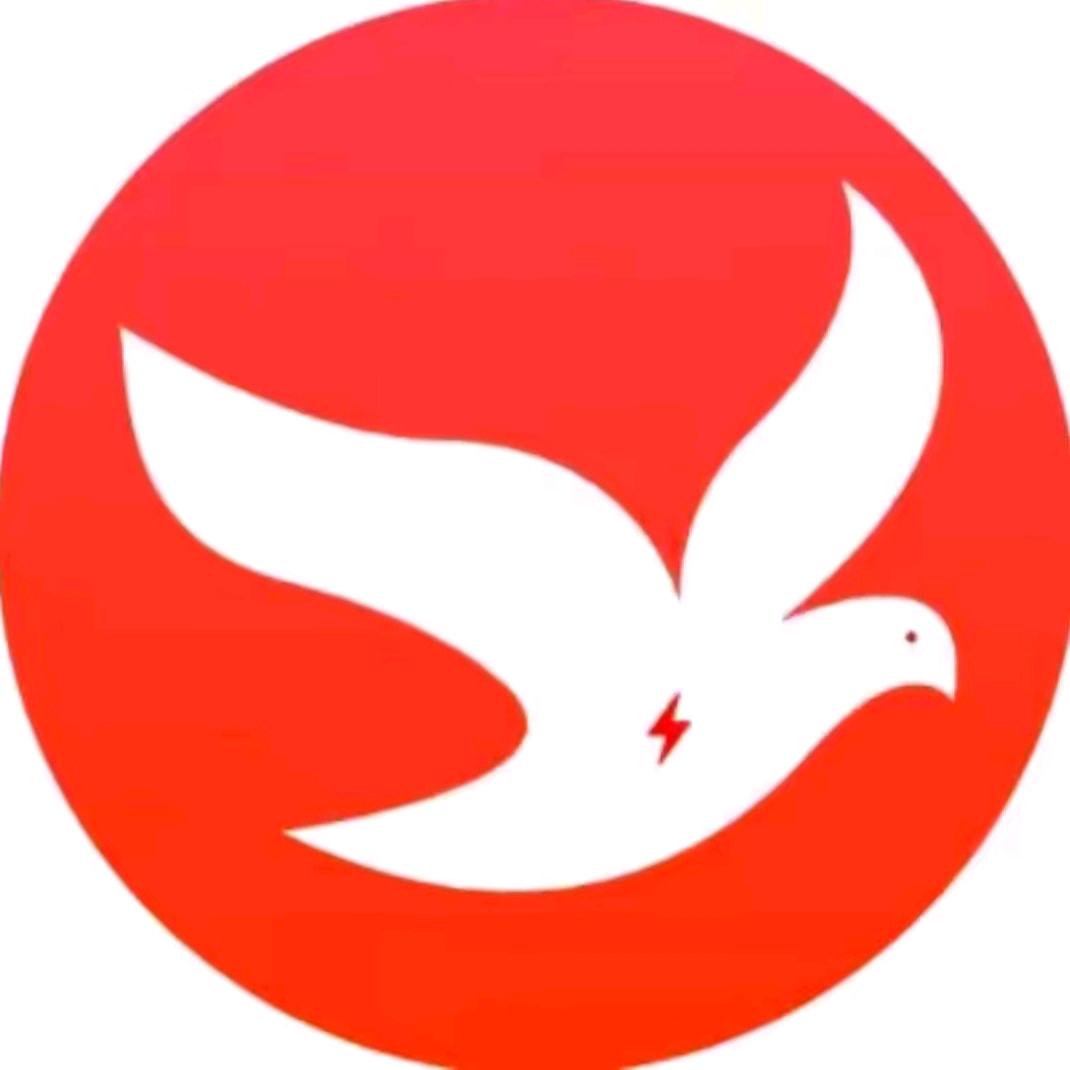 电鸽app