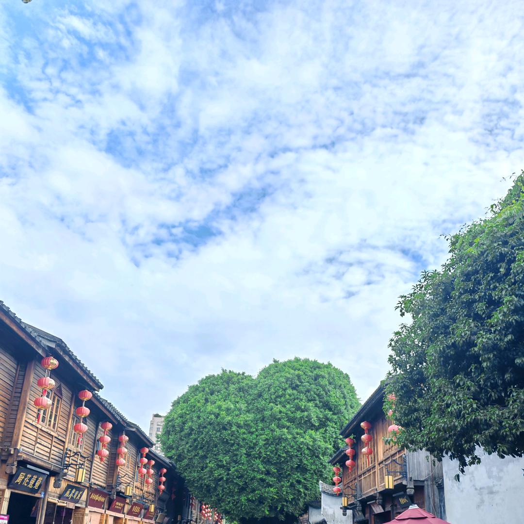 凡尘ཽ清心🍃༊