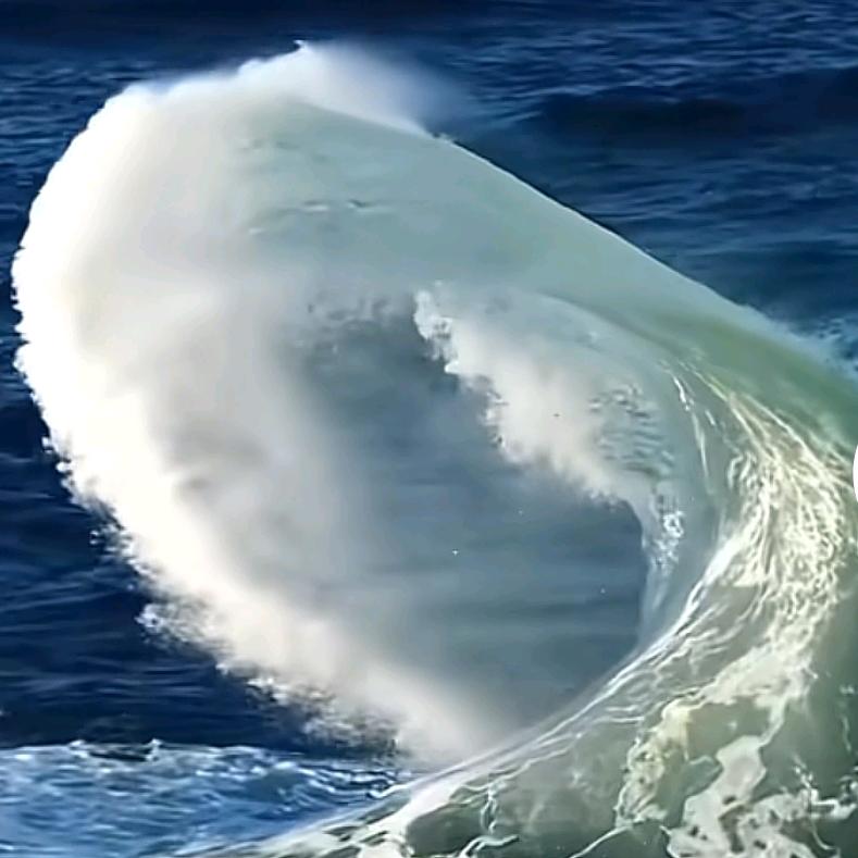 青山不老我不闲