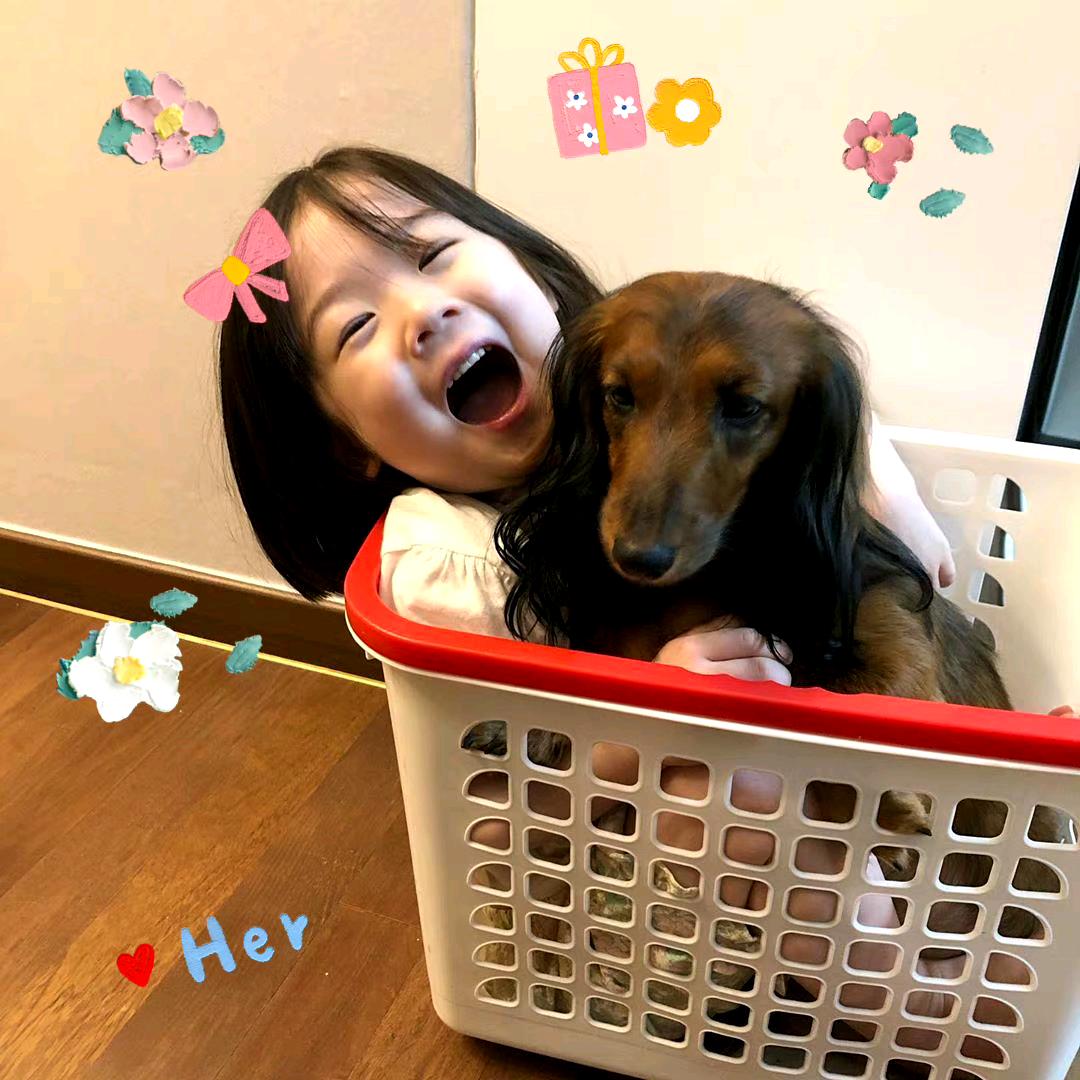 小懂
