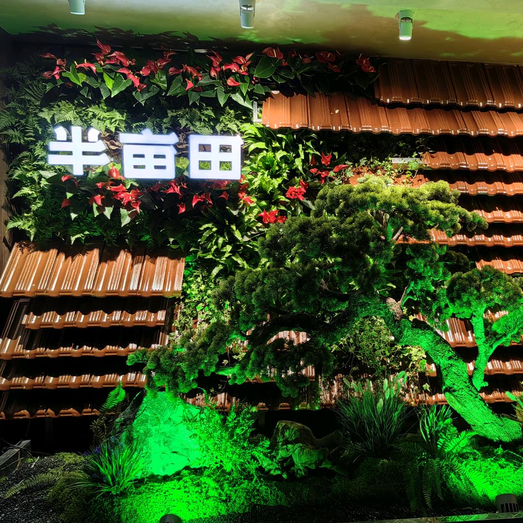 合肥高新区半亩田酒楼
