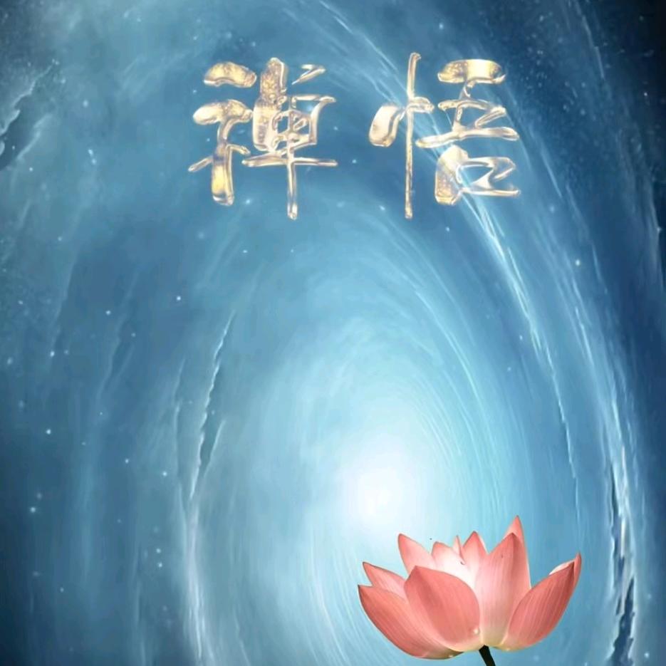 人生小站