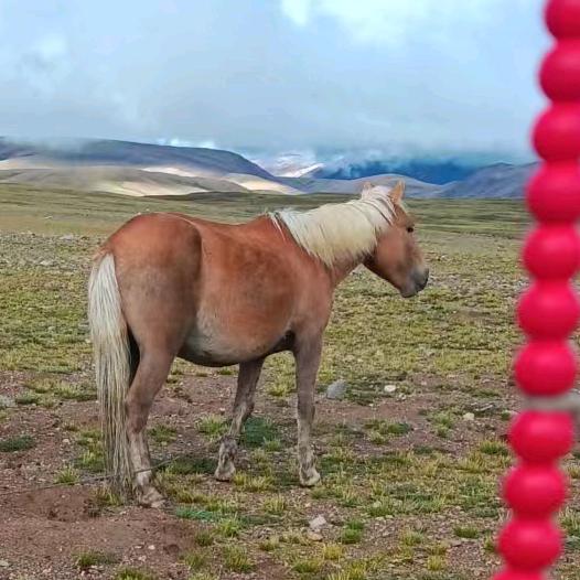 💙最爱宝马了💜