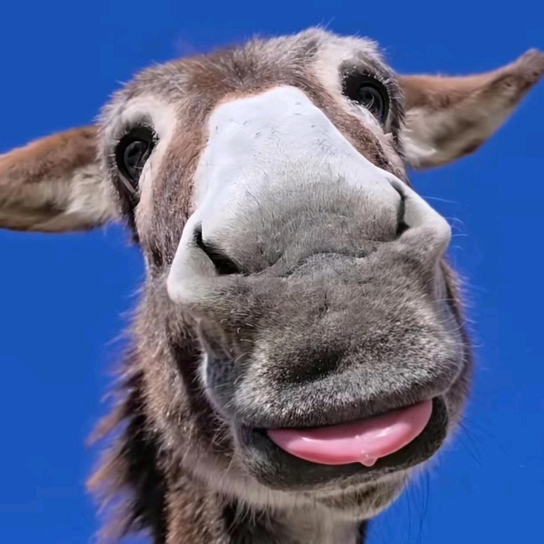 热烈的温☄ฺ(◣д◢)☄ฺ