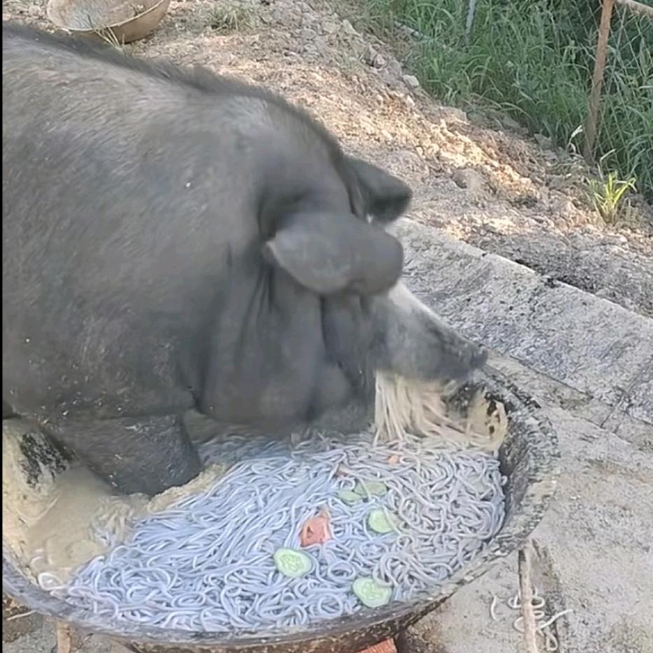 小丑