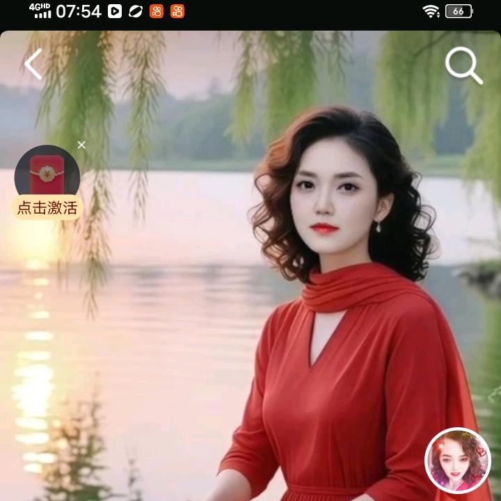 七月菊