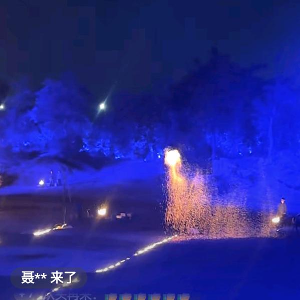 雪莲