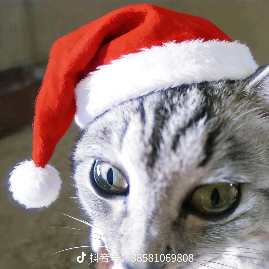 chen.陳.墨.(눈_눈)