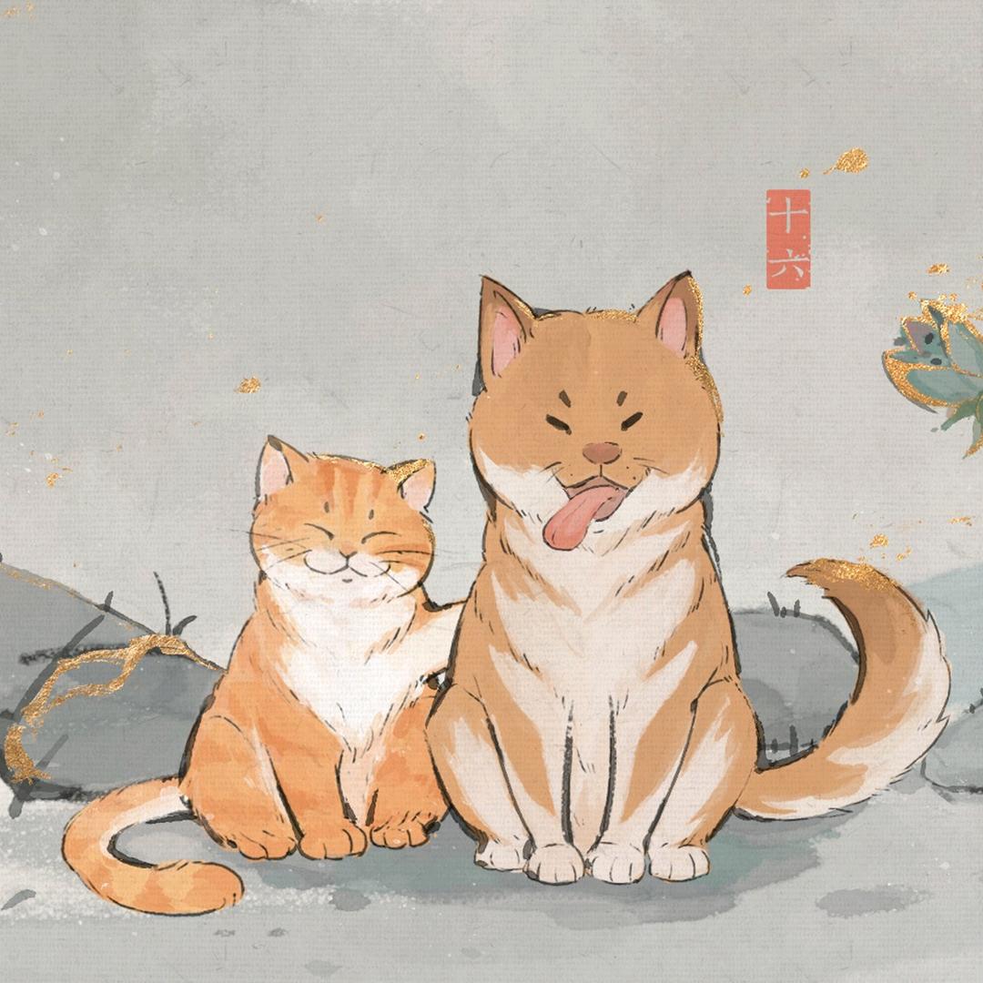 该去看《六壬断案》了