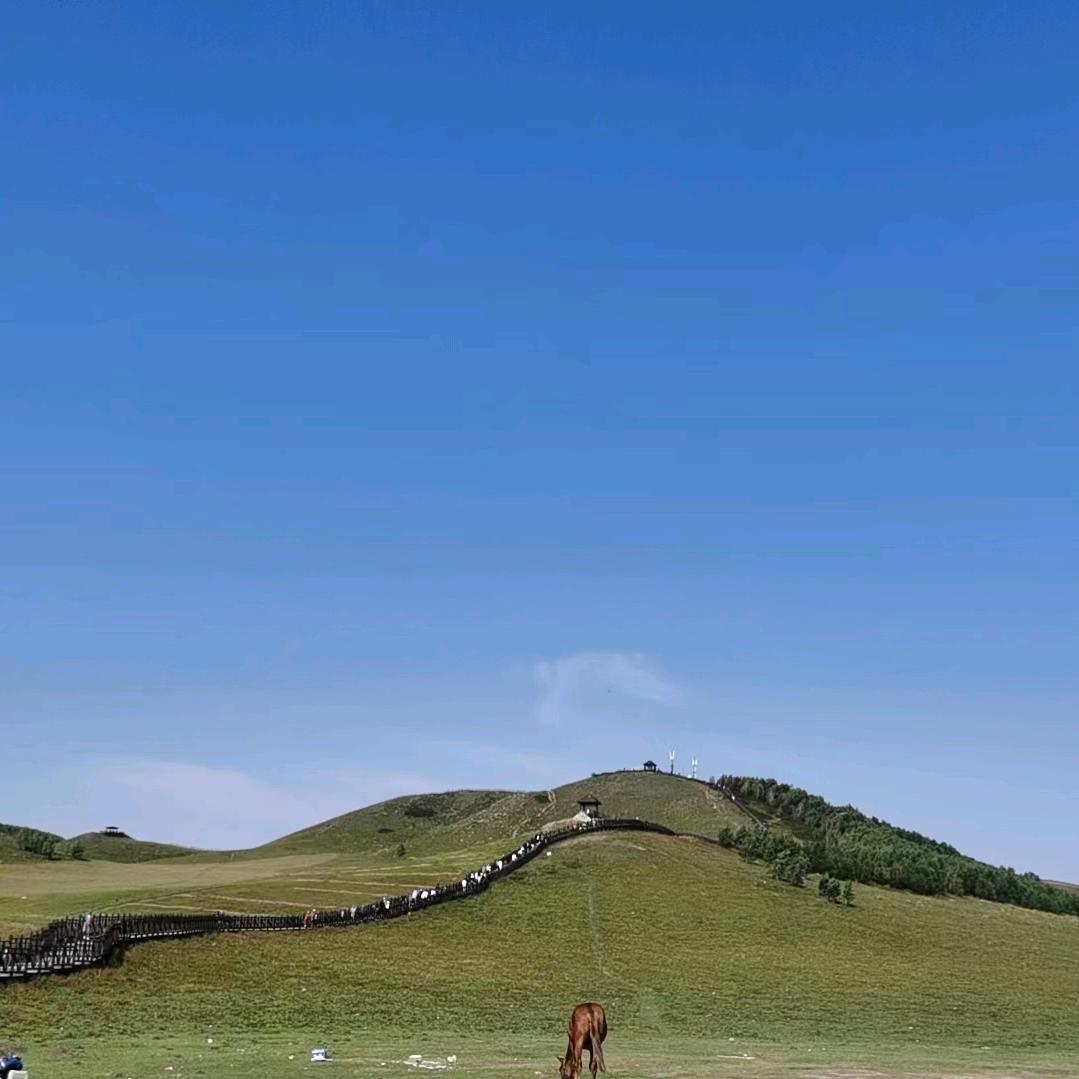 暖羊羊