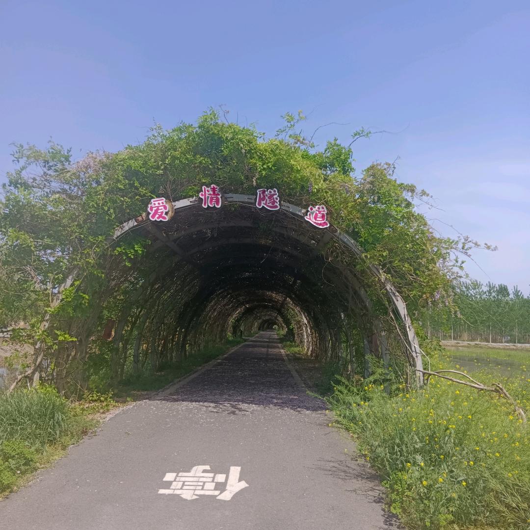 废号