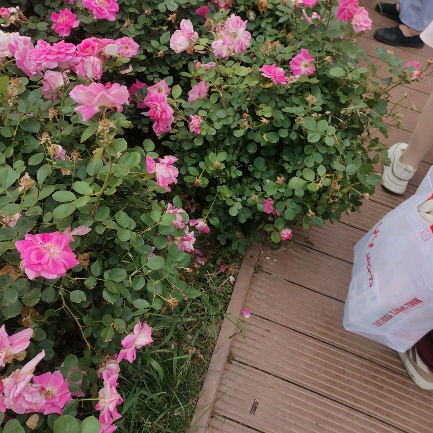 农村酒席红白喜事一条龙服务