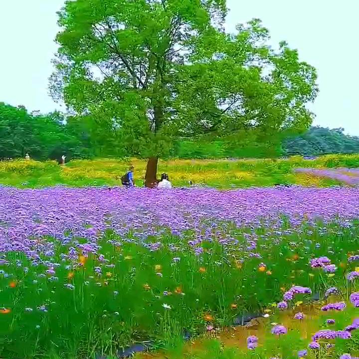 ঞ余生ᨏ随心໊ꦿഒᩚ࿐