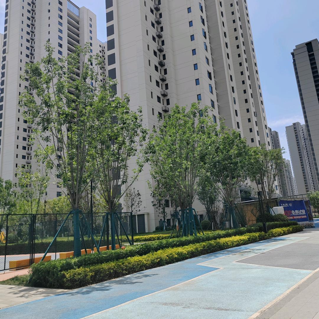 咸阳双虎家私杨丽丽