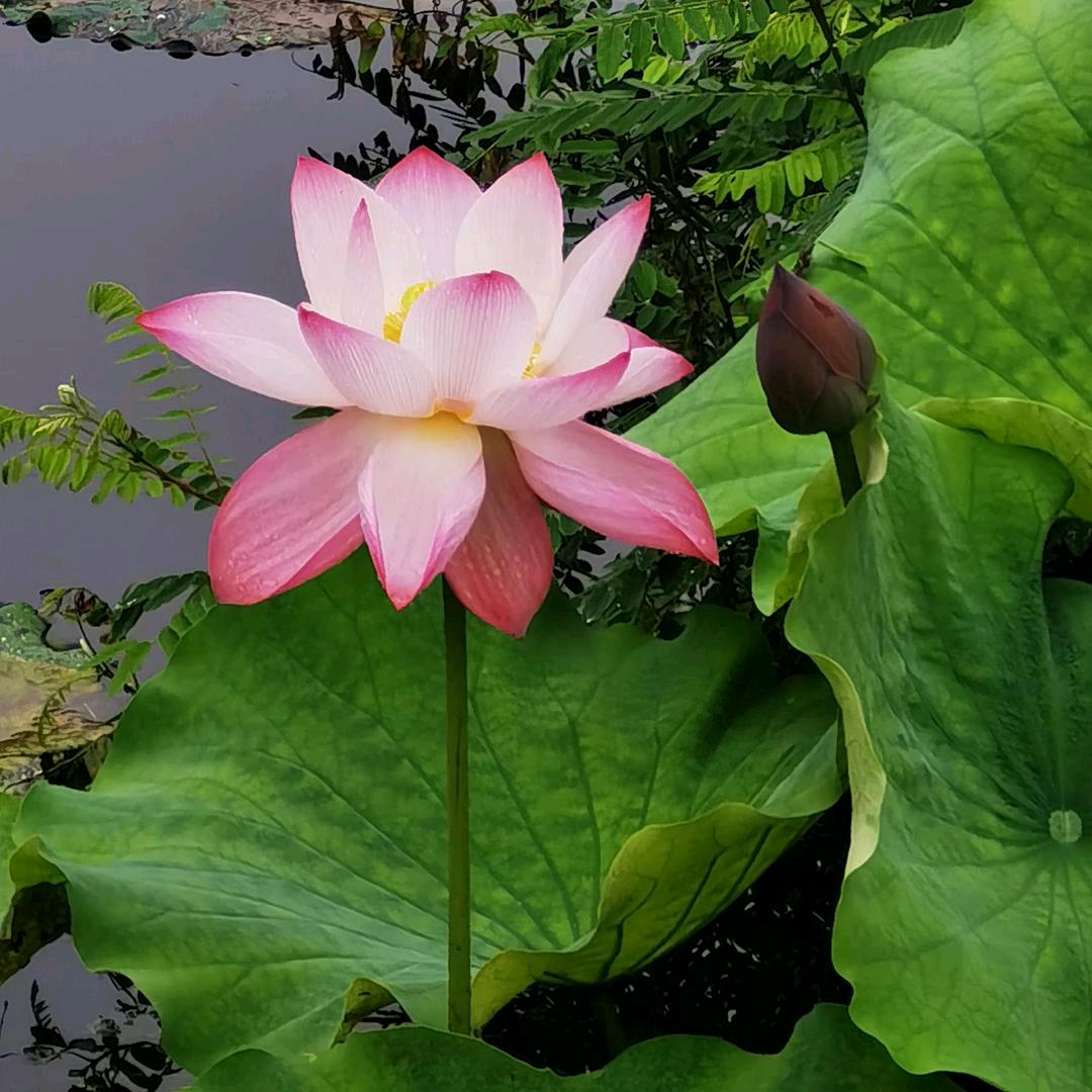 雨过天晴