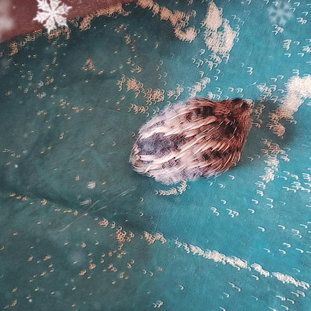 幸福你我他（她）