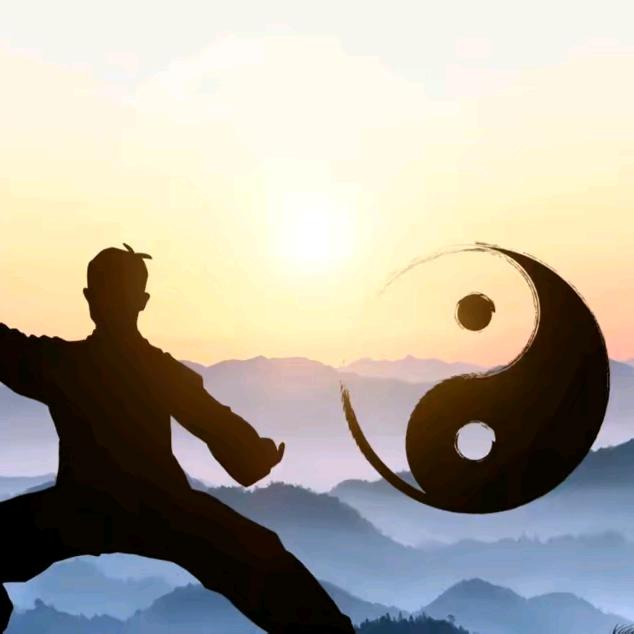 陈氏太极传承人贾老师