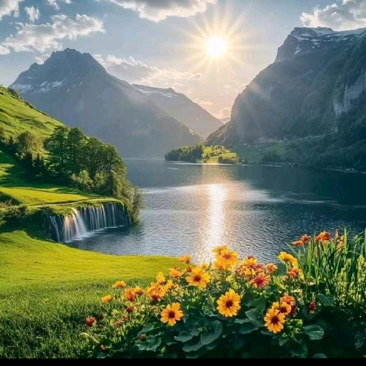 এ᭄ꦿ꯭老💰晋℘᭄ᩚ꯭🍀