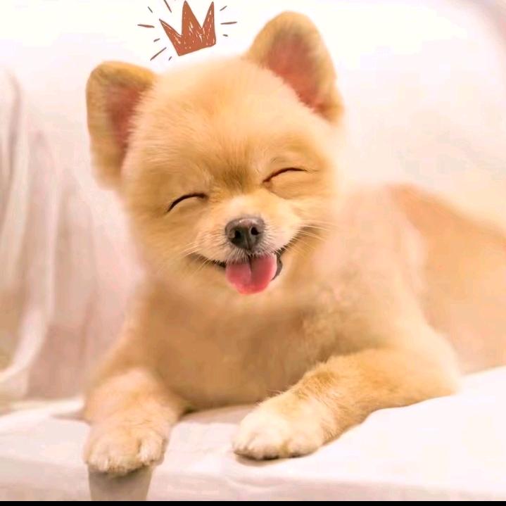 秋风带走思念