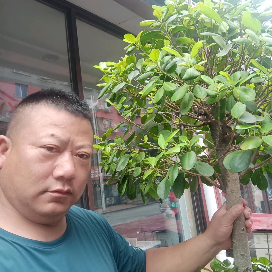 鑫维佳系统门窗，抚顺经销处