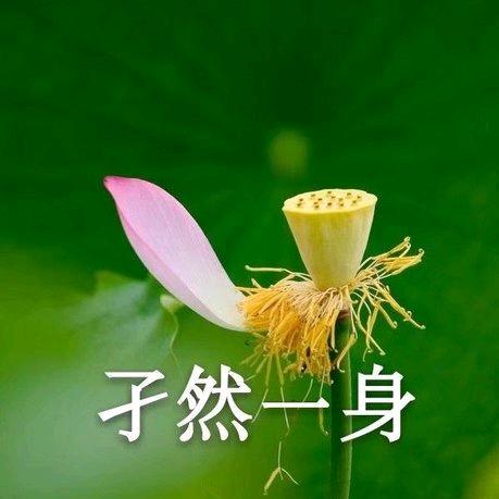 不惧困苦