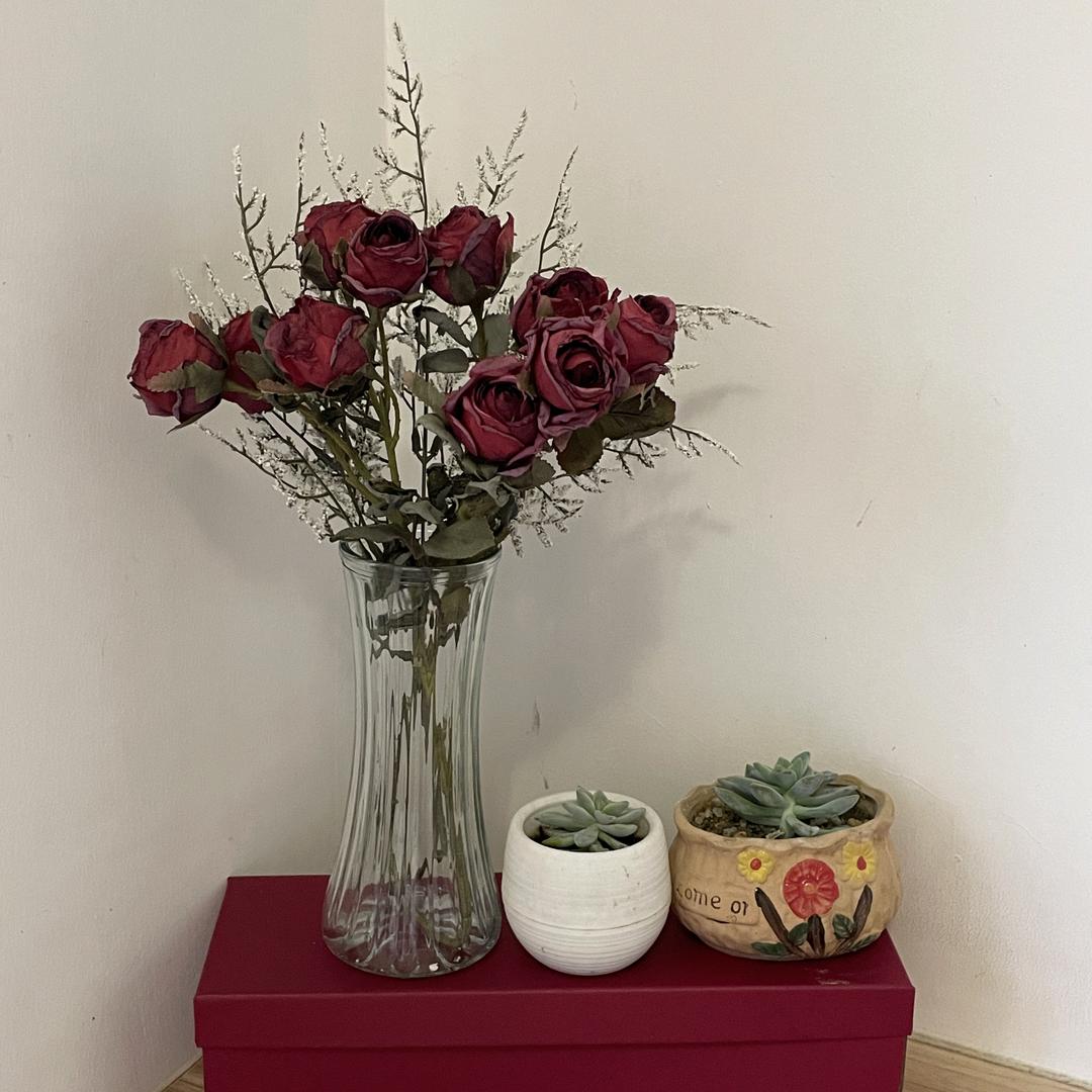 时栖家居（稻草）