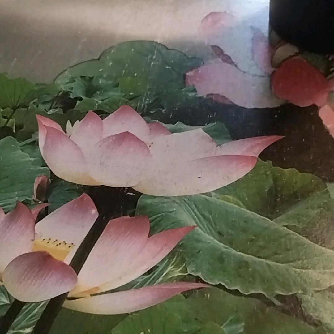 保安有限公司