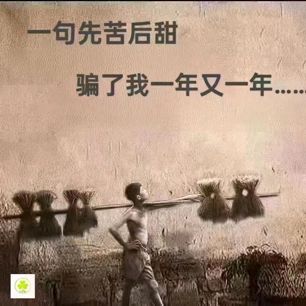 早睡晚起　༽ 🪳