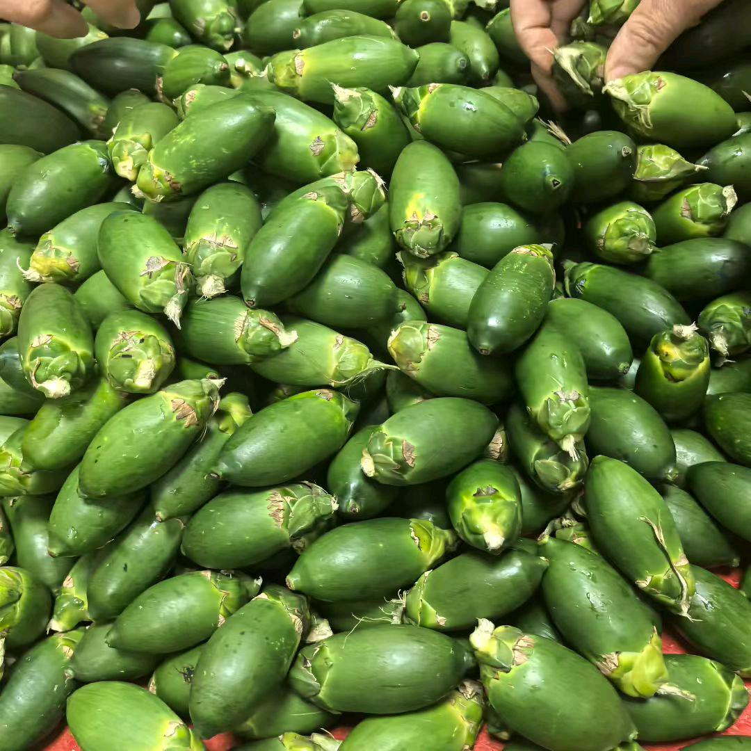 长沙生槟榔👇（晓北）