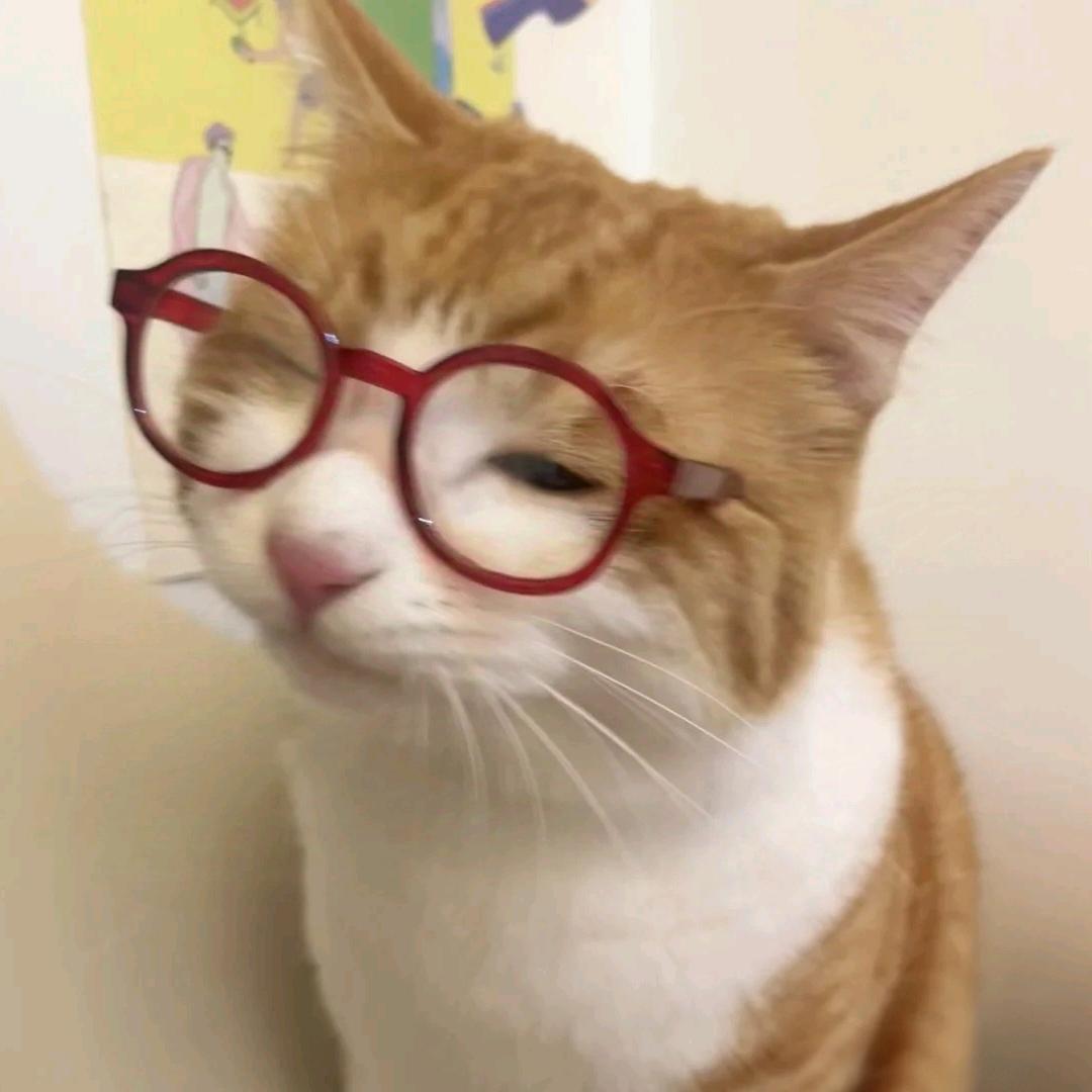 小歪崽