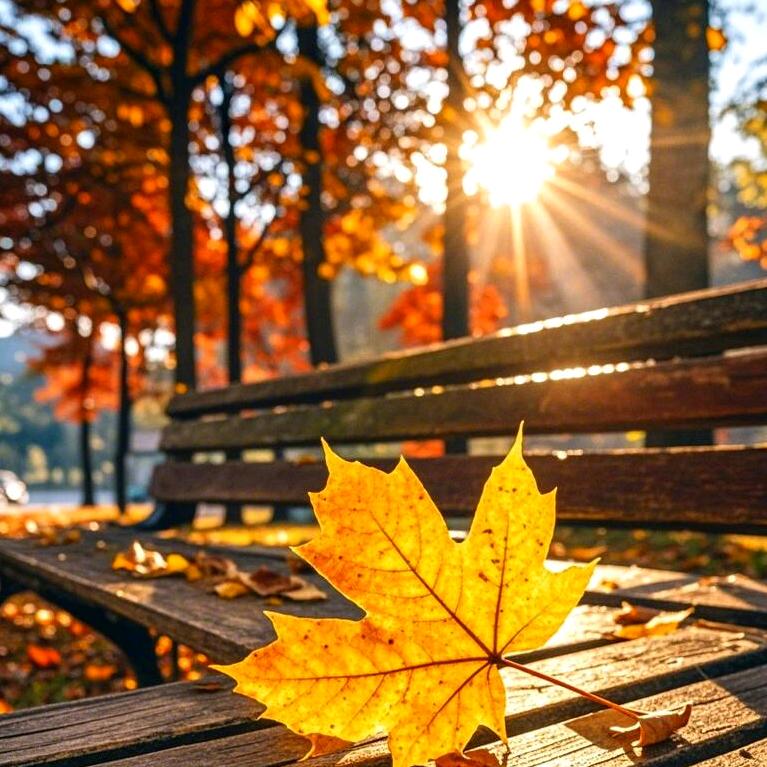 倾刺|飞跃（广州黄埔租房）