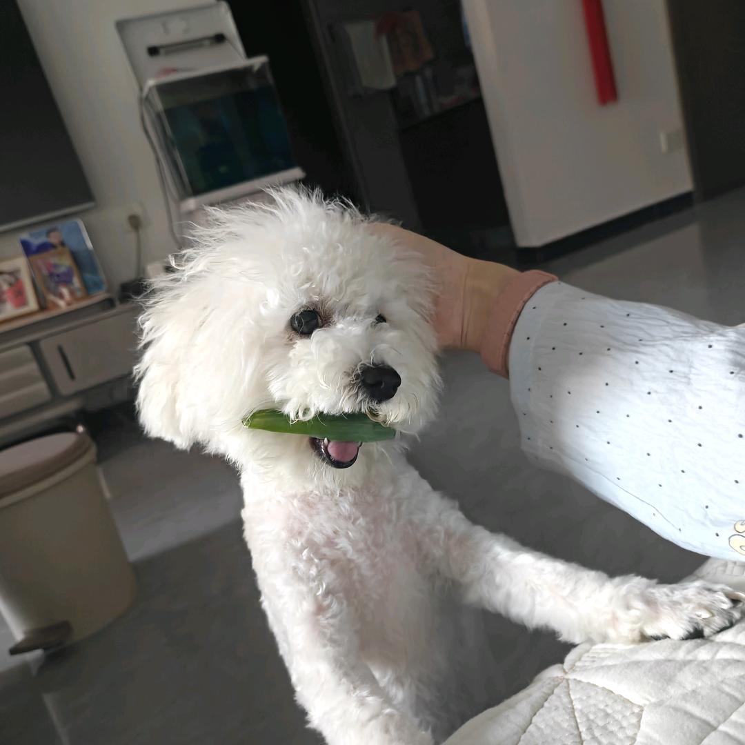 🌈🌈可笑吗🌈