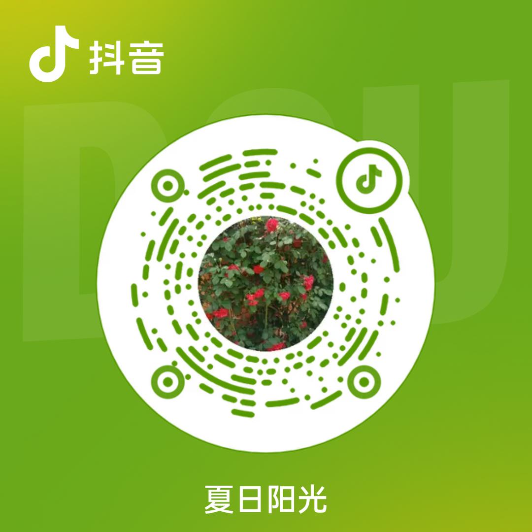晴天娃娃菜