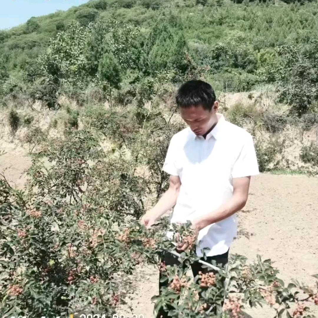 韩城市市椒香源农副产品