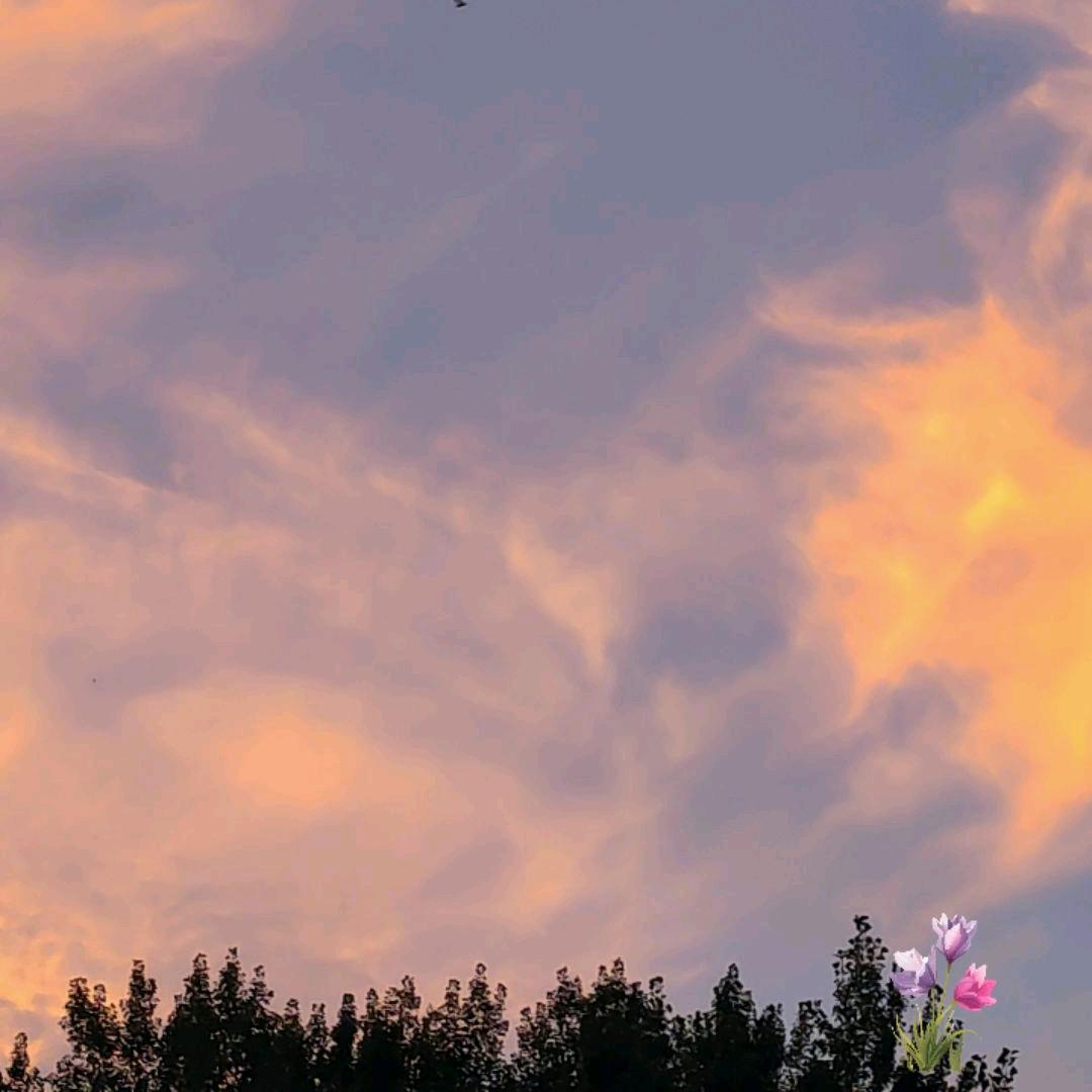 ꧔ꦿ℘㜂᭄ᩚ꯭ᩚ꧔ꦿ孞